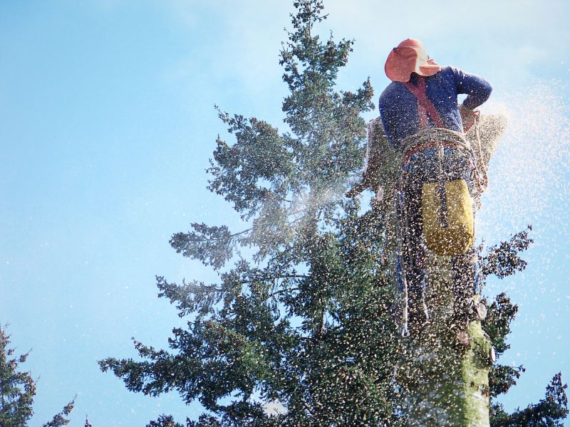 Commercial Tree Removal in Montgomery County, PA