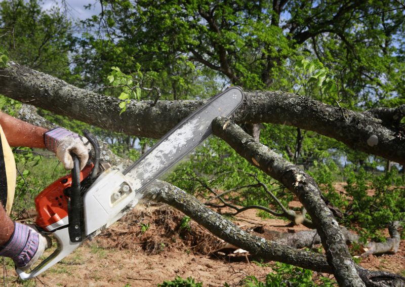 Inside Tree Limb Cutting Equipment