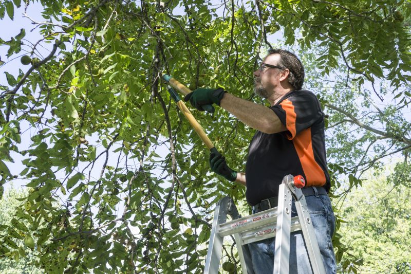 Health-Boosting Pruning