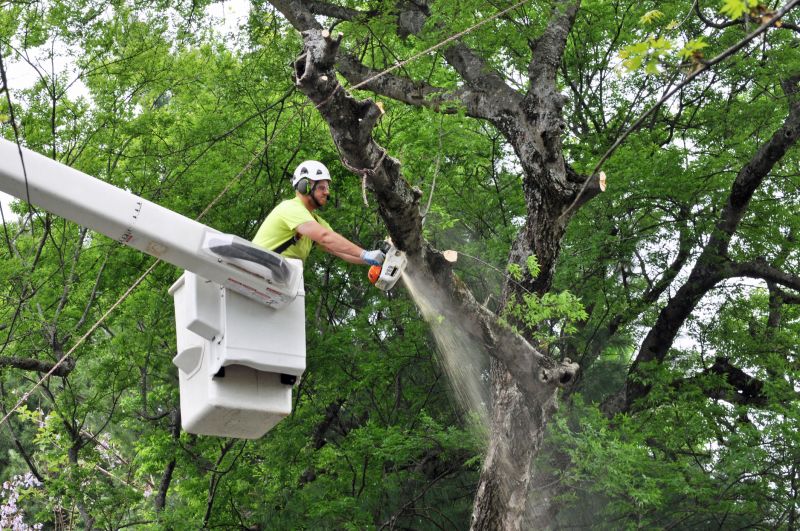 Enhance Tree Health